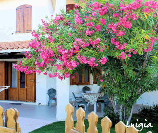 Appartement Luigia, Sardinie - Sardinia4all (3).png