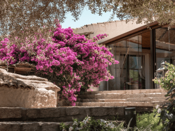 Stazzo Lu Ciaccaru - Vakantie Sardinie - Sardinia4all (8).png