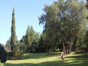 smeralda suite - reizen en vakanties sardinie - sardinia4all (5).jpg