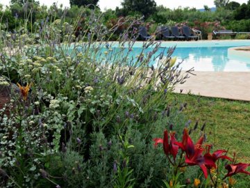sardinie-agriturismo-orto-sardinia4all (3).jpg