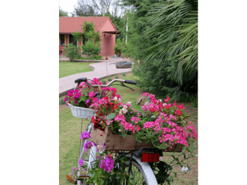 agriturismo-sardinie.png