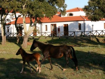 su-baione-paardrijden-sardinie.jpg