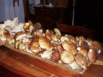 sardinie-bb-sa-muredda (17).jpg