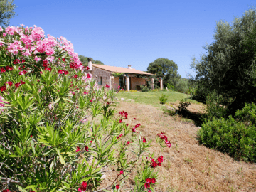 vakantiehuis-sardinie - ferienhaus sardinien (9).png