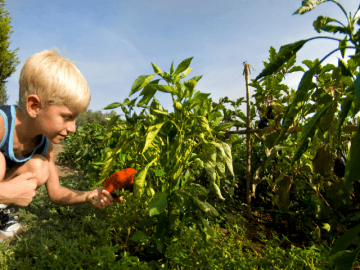 le dune resort badesi sardinia4all - nord-sardinien (10).png