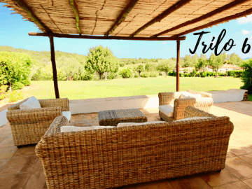 trilo 6 - fiori gialli - sardinia4all (4).png