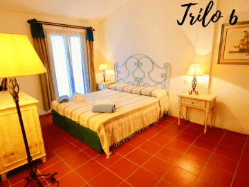trilo 6 - fiori gialli - sardinia4all (7).png