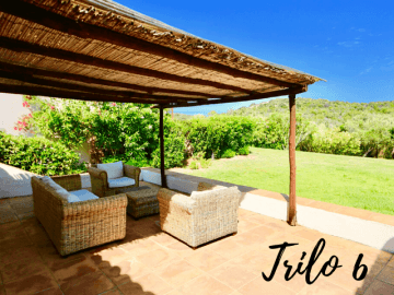 trilo 6 - fiori gialli - sardinia4all (3).png