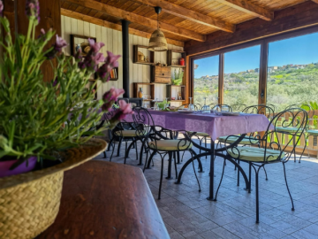 la corte degli ulivi