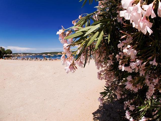 Vakantiepark Bagaglino heeft een prive strand - Sardinie
