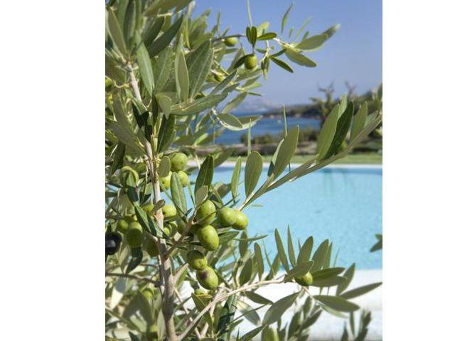 Luxe 5-sterren hotel Sardinie - Baja Sardinia (2)