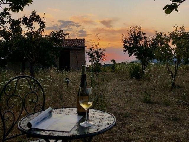 Wijn op terras