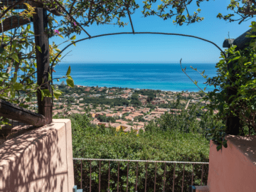 Casa Niu Astori (11).png