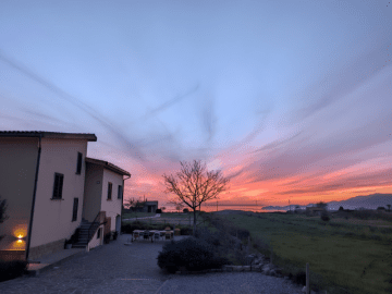 Anima Sarda - BB Sardinie - Sardinia4all (3).png